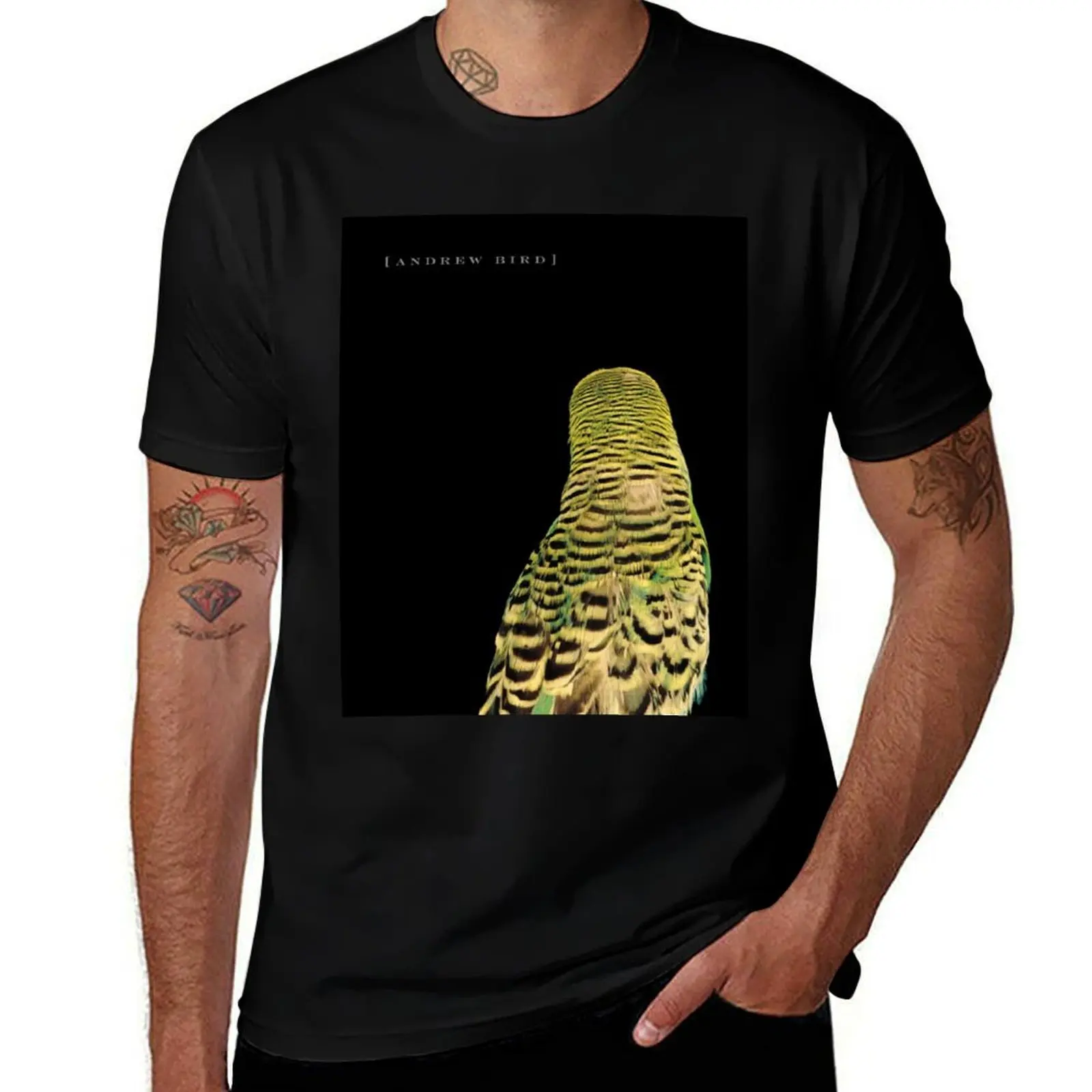 andrew bird T-Shirt Large Size Basic Casual T-Shirt