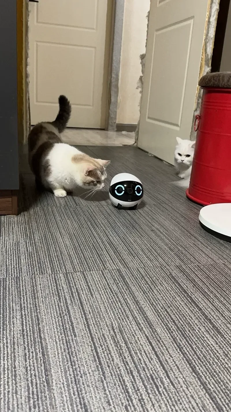 ROLAMini Caméra mobile intelligente pour animaux de compagnie Robot Ebo Home avec télécommande et surveillance sans fil