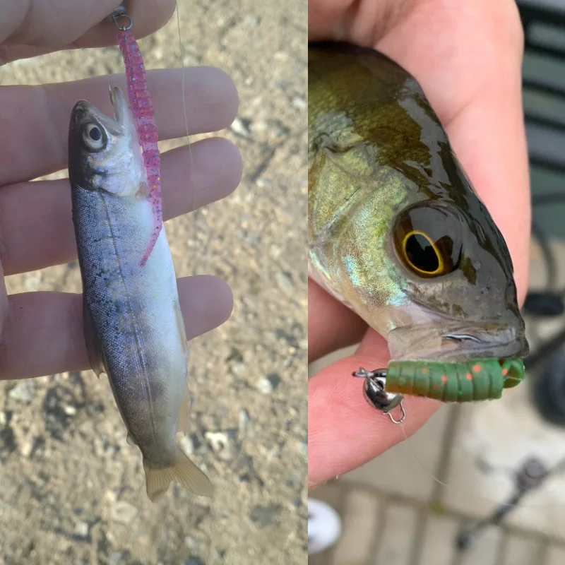 Supercontinent A 4CM/5CMFishing Weiche Wurm Köder Eis Angeln Köder Weiche Polaris Sinking Köder Pesca Günstige angelgerät