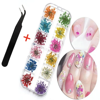 Nowy suchy kwiat zdobienie paznokci dekoracje prawdziwe Mini suszone kwiaty naklejki naturalne kwiatowe wisiorki wzory DIY Manicure akcesoria do paznokci