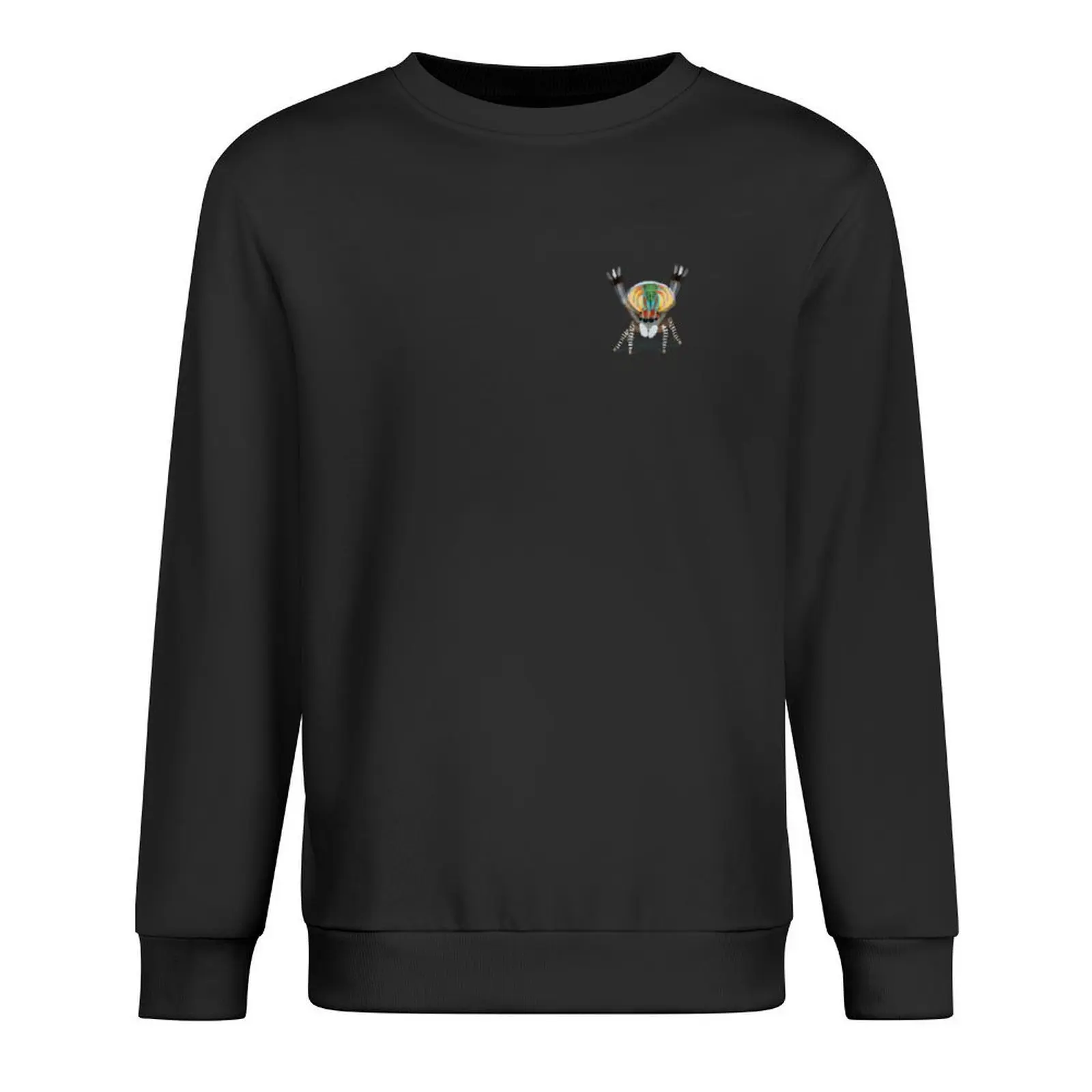 

Dancing Peacock Spider - Maratus Volans Pullover men's clothes autumn men clothes anime clothing anime sweatshirt