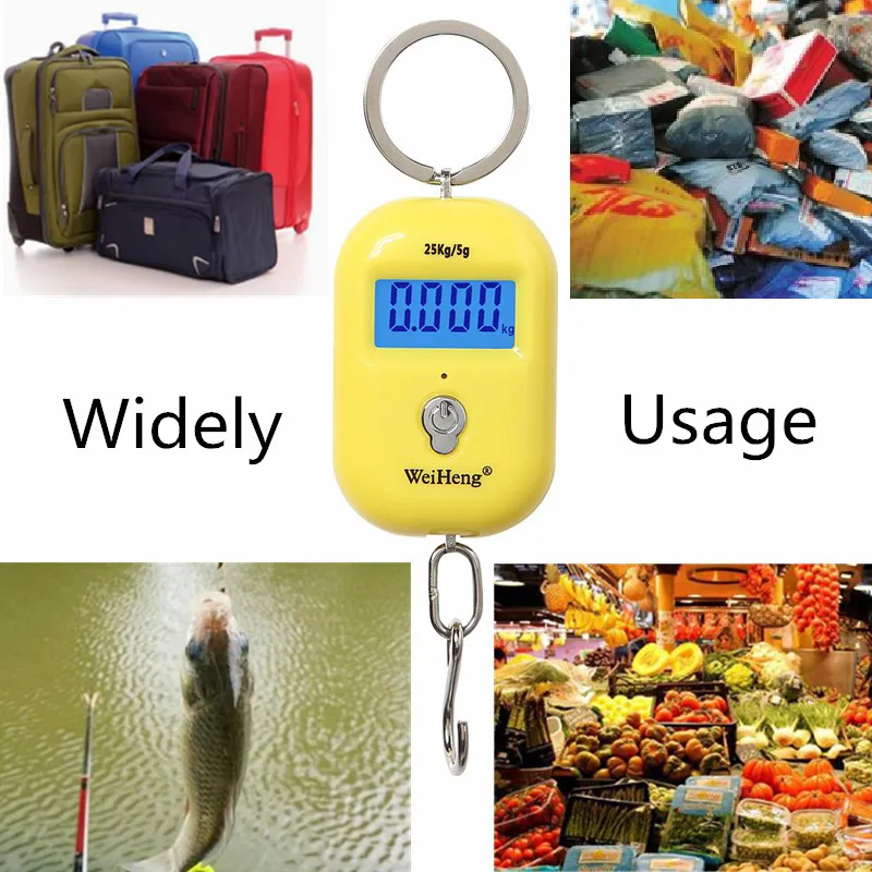 Portable 25Kg 5g Hanging Scale Digital Scale Electronic Fishing Weights Pocket Kitchen Scale BackLight Mini Luggage Travel Scale