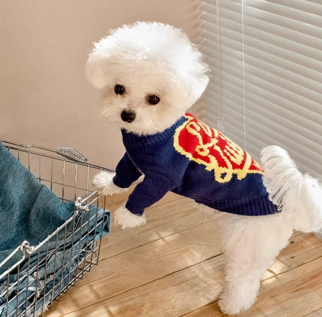 Thumbnail 3 - #4 Dog Apparel Comparison Guide