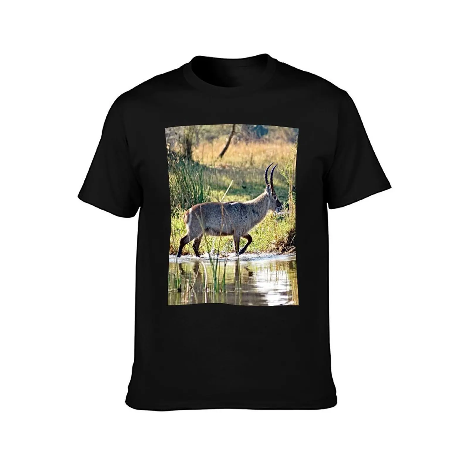 African Waterbuck Antelope River Bank Africa T-Shirt, Summer Casual Cotton Tee, Oversized Streetwear Tops, Vintage Graphic Print