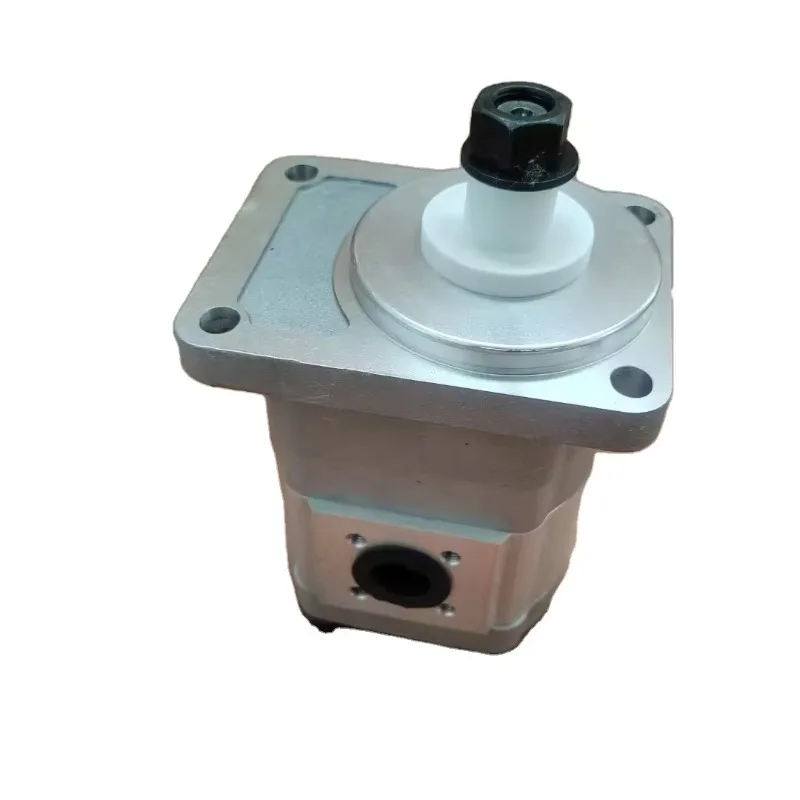 Engineering Accessories CAS-APPA PLM20.8R0-82E Gear Pump