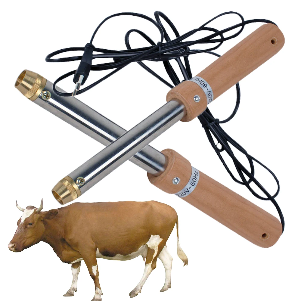 

Dairy Calves Disbudding Dehorning Reduce Risk Of Injury And Bruising Animal Walfare Removal Of The Horns Livestock Instruments