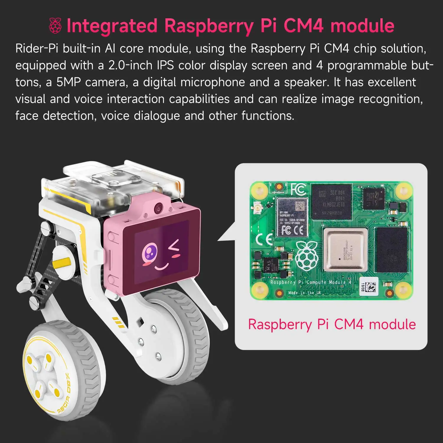 Yahboom Rider-Pi AI Robot Car Electronic Kit with IPS Display Based on Raspberry Pi CM4 Module Support ChatGPT Voice Interaction
