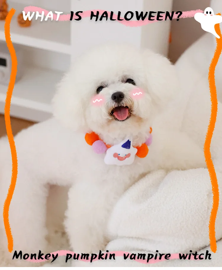 https://ae-pic-a1.aliexpress-media.com/kf/S0ab57dfa8b52448dbb8e761df8b0b141N.jpg