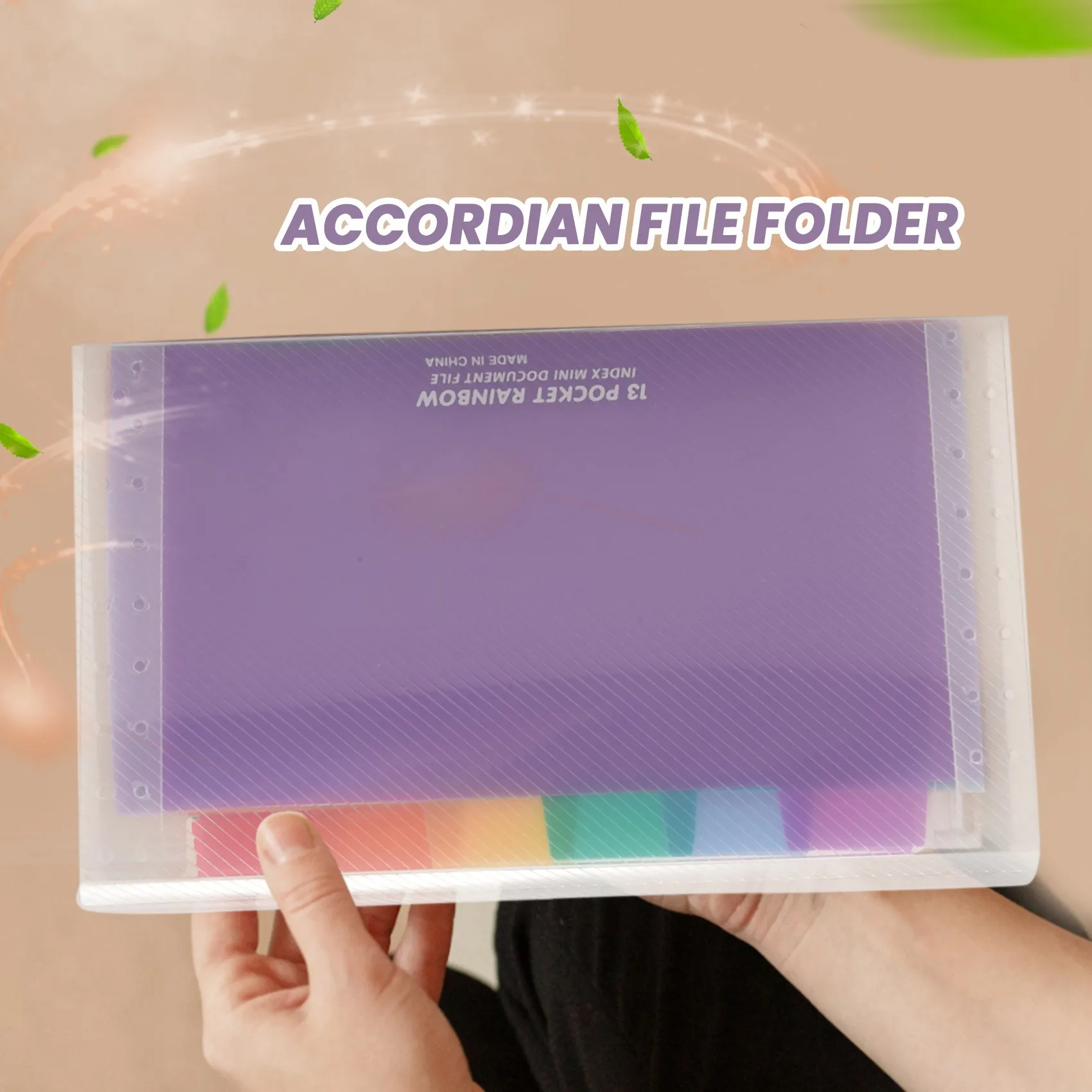 Accordion Folder, 13 Pockets A6 Plastic Accordion Expanding File Folder with Budget Envelopes for Cash System