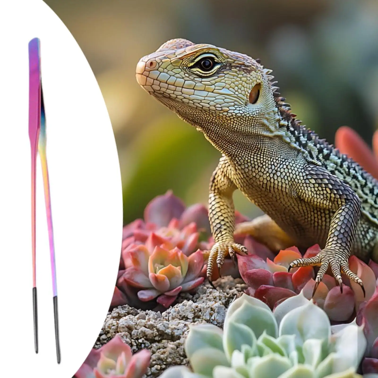 Aquarium Tweezers Reptile Feeding Tongs Rust Resistant Soft Tip Metal Clamp for Equipment for Reptiles Terrarium Aquarium Tweezers Reptile Feeding Tongs Rust Resistant Soft Tip Metal Clamp for Equipment for Reptiles Terrarium