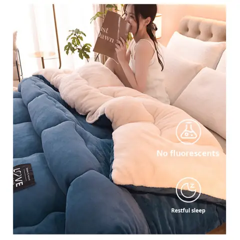Winter Quilt Milk Velvet Thickened Warm Quilt Core Fleece Lambswool Quilt Solid Color Quilt Cover 150/180/200/220cm Soft Warm