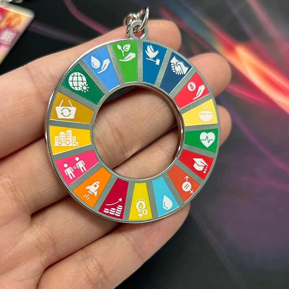 SDG Wheel Keychain UN Sustainable Development Goals Key Chain Wheel of Fortune