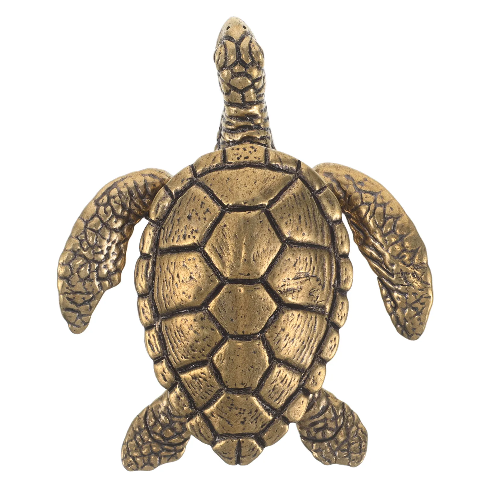 Brass Turtle Trinket Box Vintage Hinged Sea Turtle Jewelry Holder for Women Decorative Ring Organizer Mini Treasure Box Home