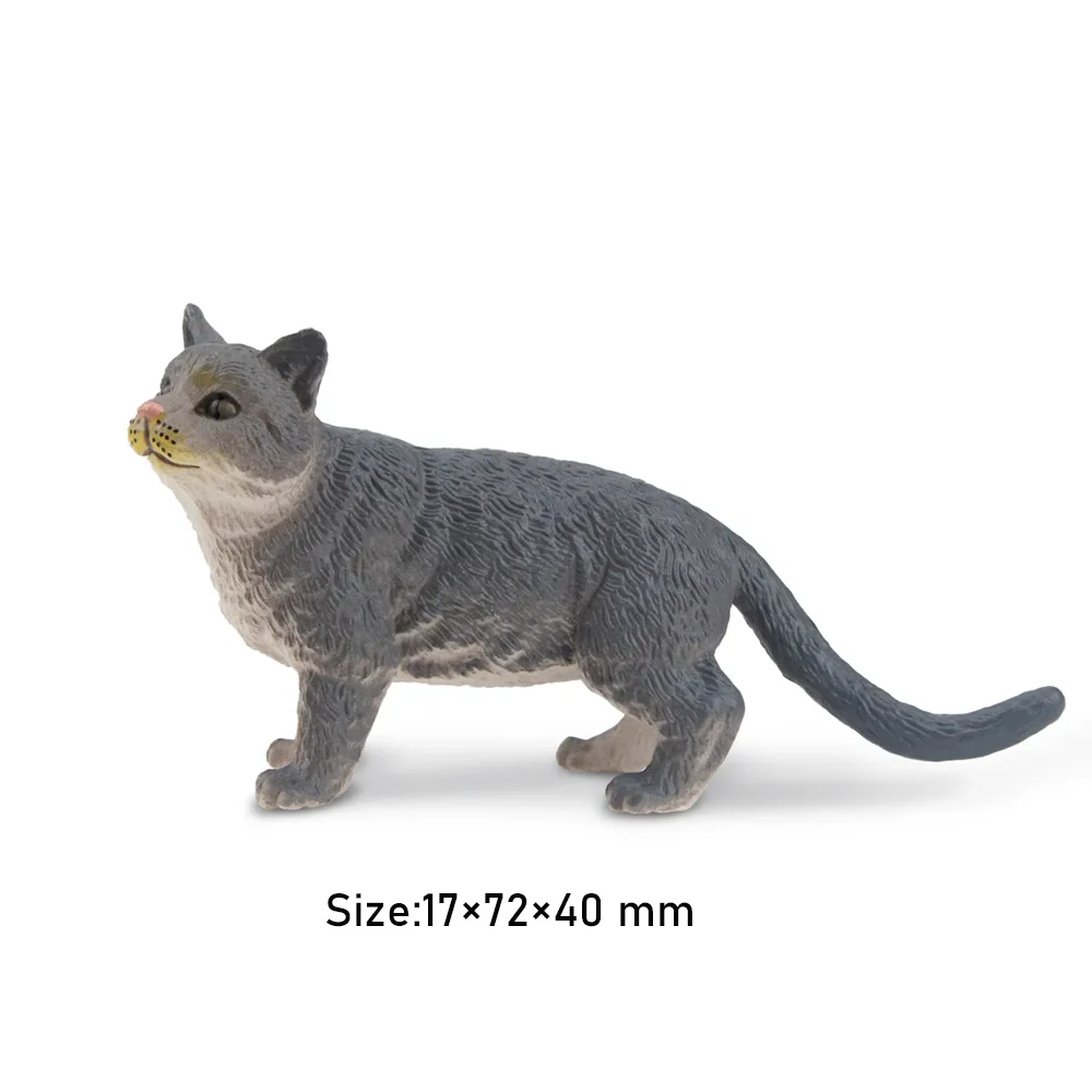 Toymany Simulation Russian Blue Cat Pet Animal Model Toy Mini Figures Action Figurines Kid Educational Gift & Cake Deco