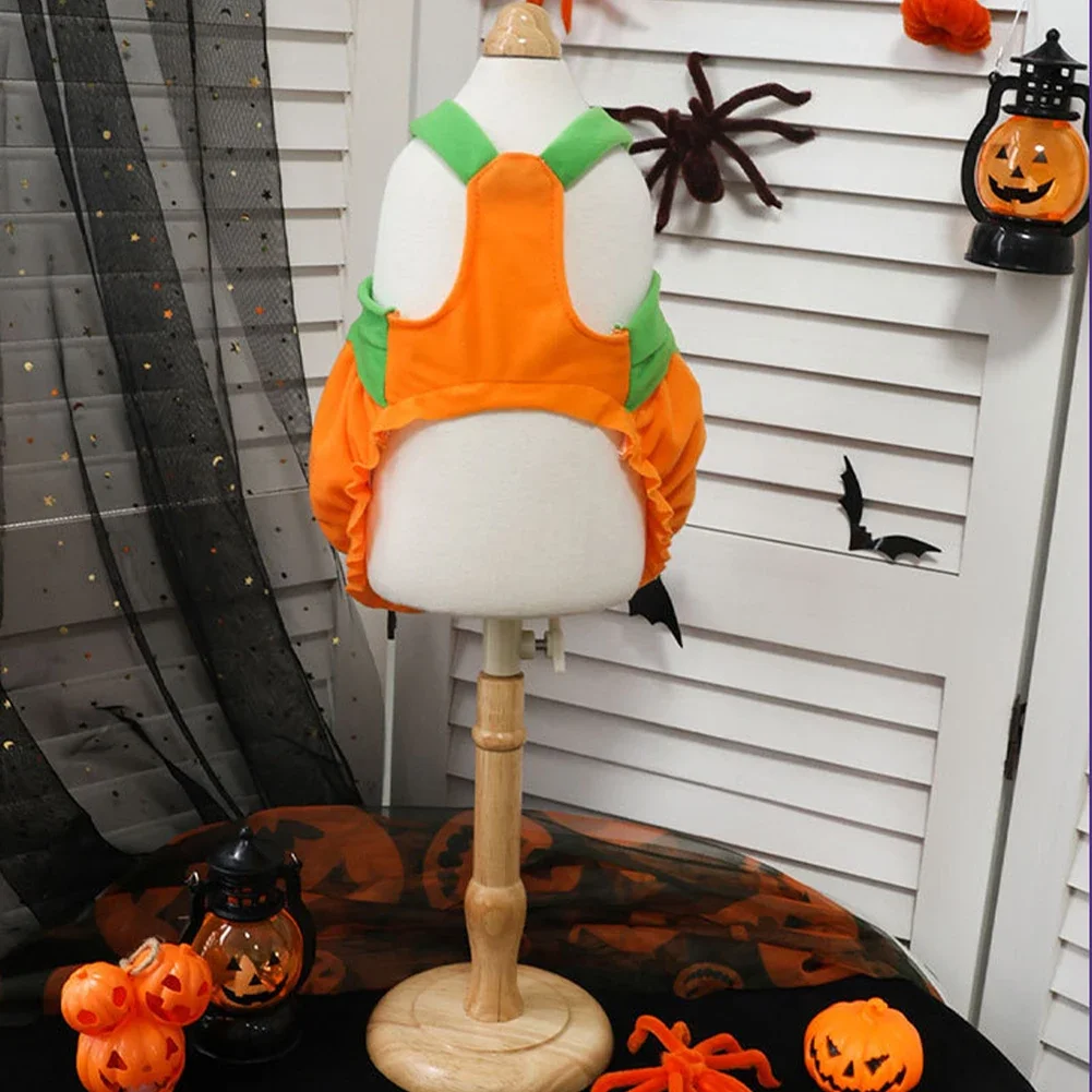 Pumpkin Print Dog Costume 1