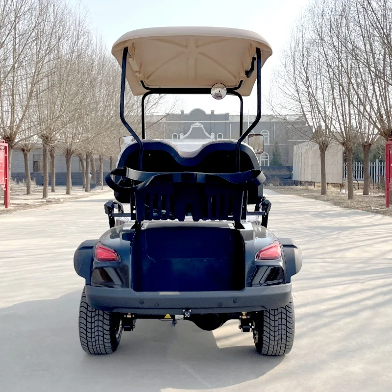 Carrito de Club eléctrico para Buggy, carrito de Golf con motor de Gas, vehículo clásico de 5kW, 2, 4 y 6 plazas, fabricante a la venta