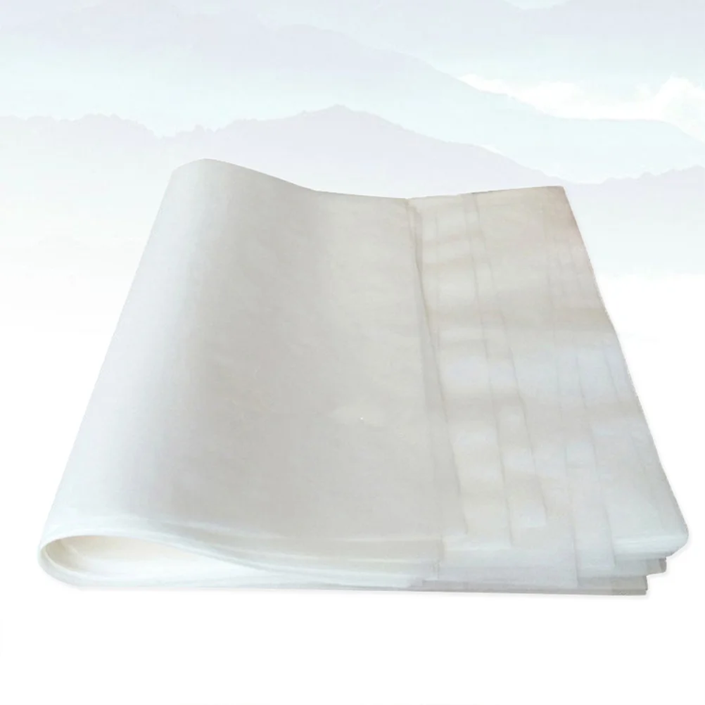 

100pcs Baking Parchment Paper 25X35Cm Non-Stick Oil-Proof Water-Resistant For Pizza Steamer Liners Baking Sheets Kitchen Cooking