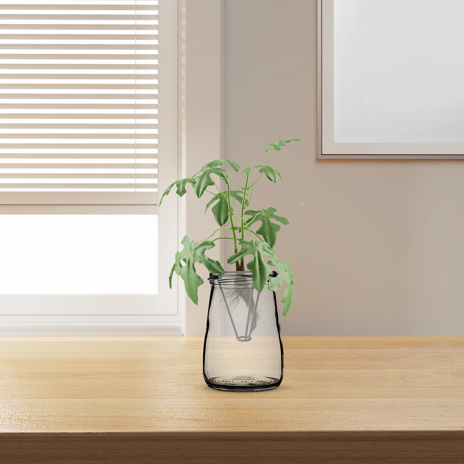

Seed Fixer Metal Bracket for Sprouting Avocado Starter Vase Holder Pyramid Hollow Plant Weights Anchors Propagation Station