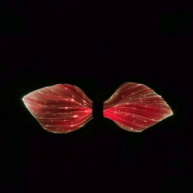 ربطات عنق مضيئة عصرية مخصصة للحفلات والرقص، إكسسوار شعبي عبر الحدود للعطلات #5