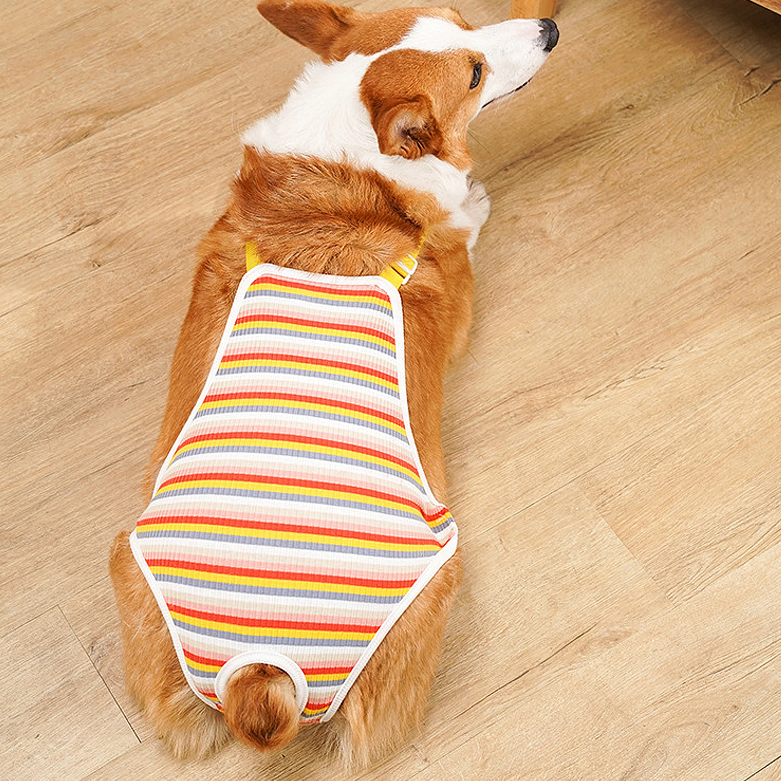 

Dog Physiological Pants Diaper for Female Dogs ange Stripe M Size Adjustable Pet Dog Pants Anti Period Panty