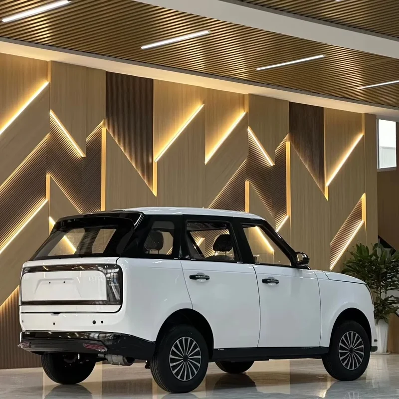 No Driving License Spacious Trunk 4-Wheeler Vehicle 3500w Conditioning Customized Color Family Use 60km/h