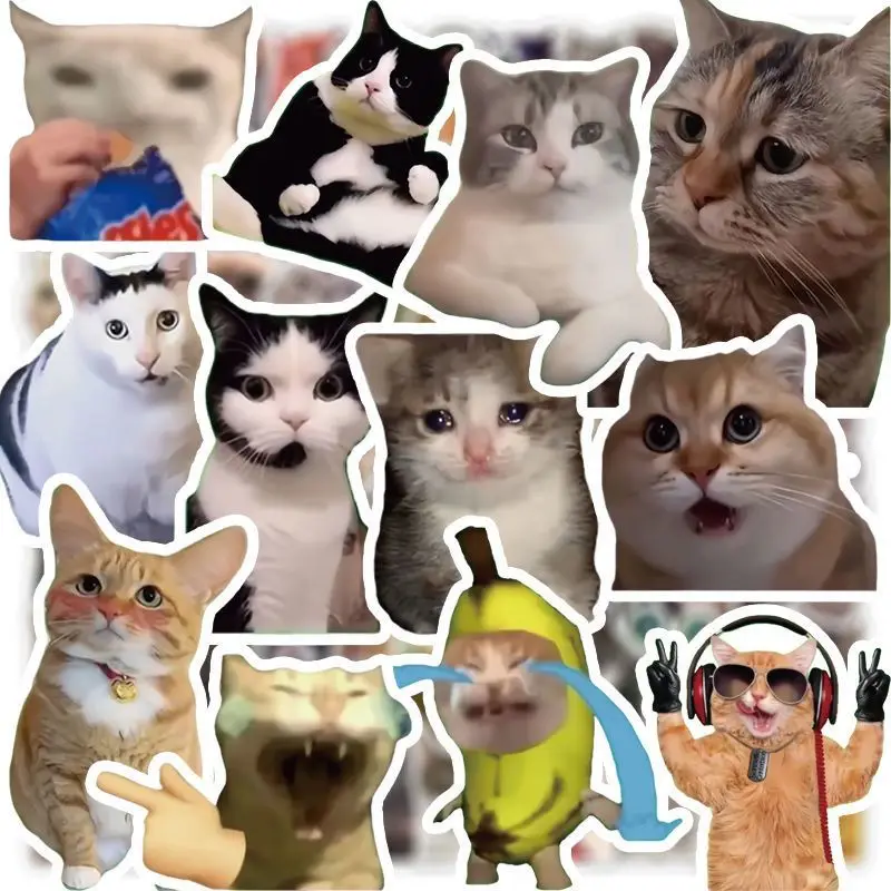 귀여운 만화 고양이 이모티콘 스티커 50~100장, 여행 가방, 물병, 노트, 저널 장식용