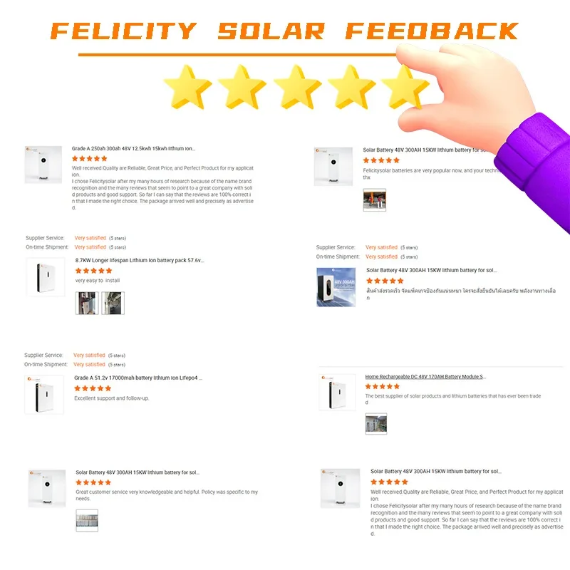 Felicity Solar 15kwh Power Wall Mounting Battery 48V 300ah 6000cycle Times Wall Mount Lithium Ion Battery For Solar