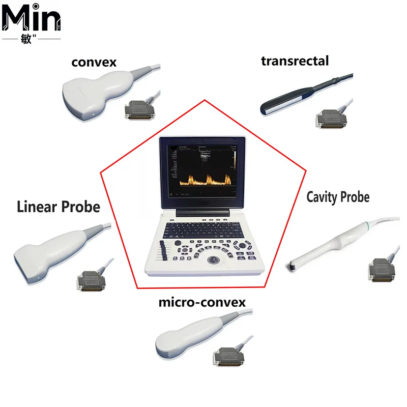 Veterinary Handheld Scanner with Convex, Microconvex, Rectal, Linear & Luminal Probes for Animal Diagnosis