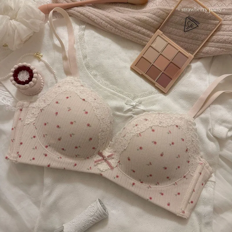 Women's Bras: Delicate and Sensual, Girlish Lace and Floral Lingerie; Small-Bust Push-Up Bras Without Underwire; Sweet-Style Bra