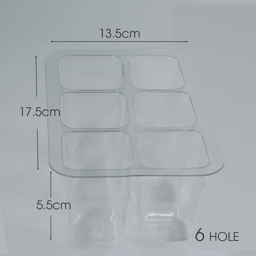 6/12 Cell PET Seeds Starter Tray Plastic Transparent Nursery Growing Pots for Garden Indoor Plant Vegetable Seedlings Container