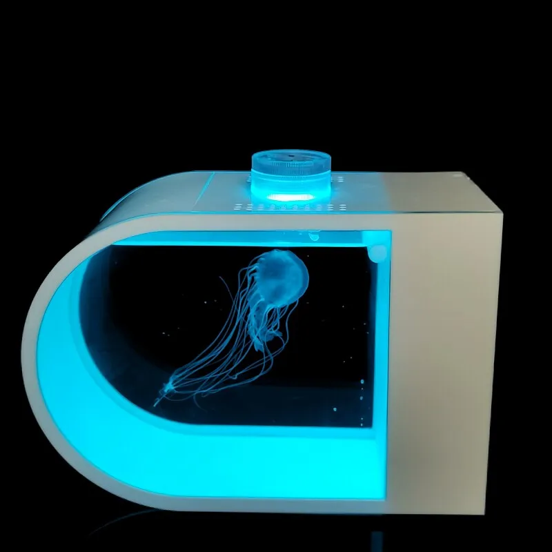 Desktop U Type Small Transparent Aquarium For Indoor Decoration