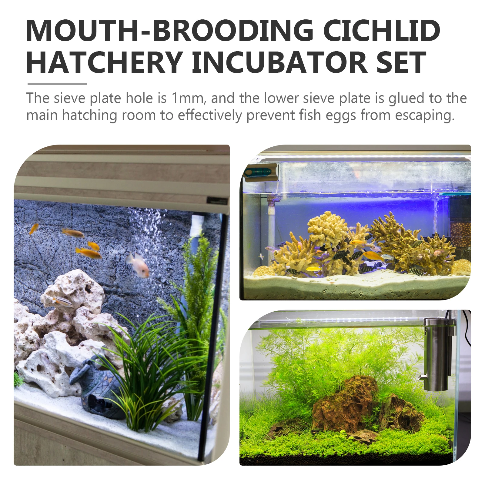 

Fish Egg Incubator Ornamental Hatchery Breeding Tube Tumbler Automatic Aquarium