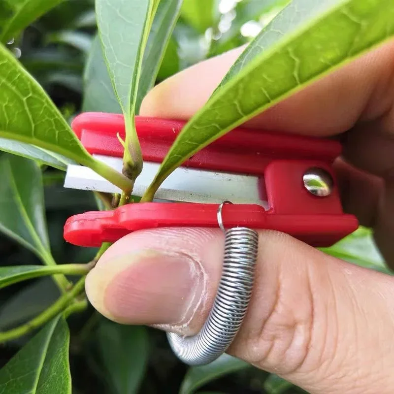Fruit and vegetable picking knife, grape pinching knife, whisker pinching knife, vegetable picking thumb knife practical tool