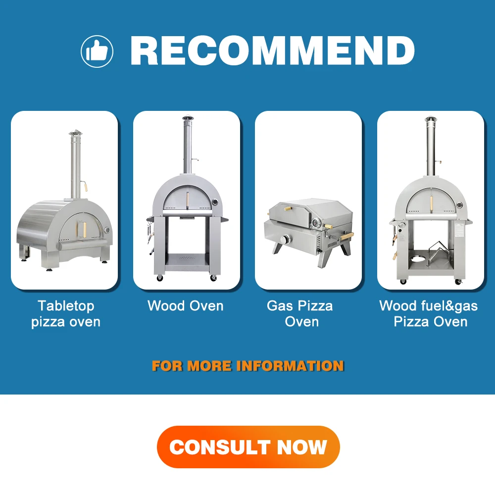 Hyxion Stainless Steel  Bbq Grill  Garden Camping Barbecue Portable Marine Propane Bbq Grill