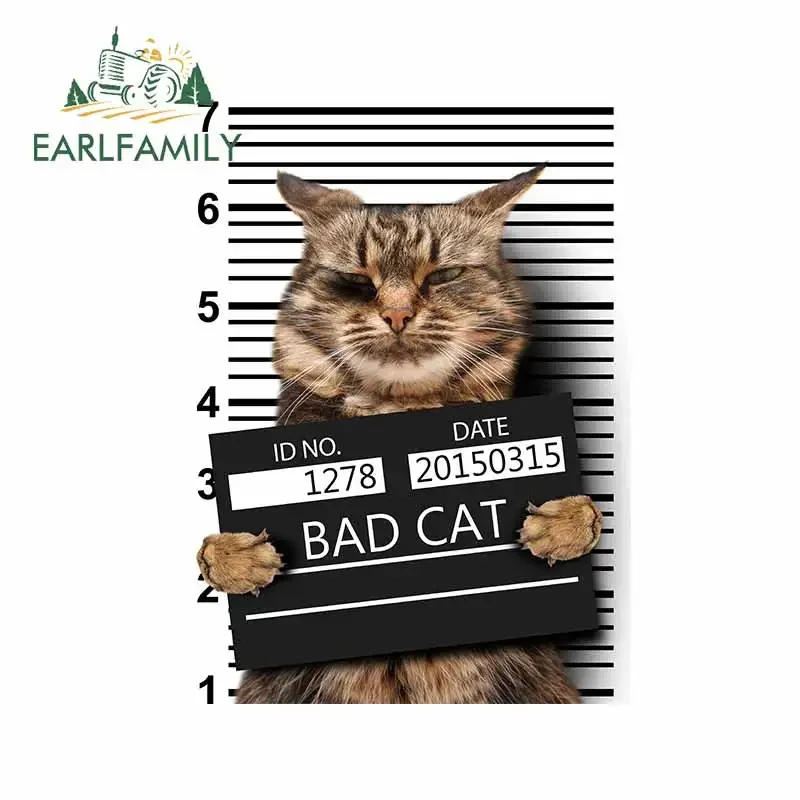 EARLFAMILY 13cm x 9.1cm For Cats Car Truck Decal Personality Car Stickers Laptop Windows for SUV JDM ATV DIY Decoration