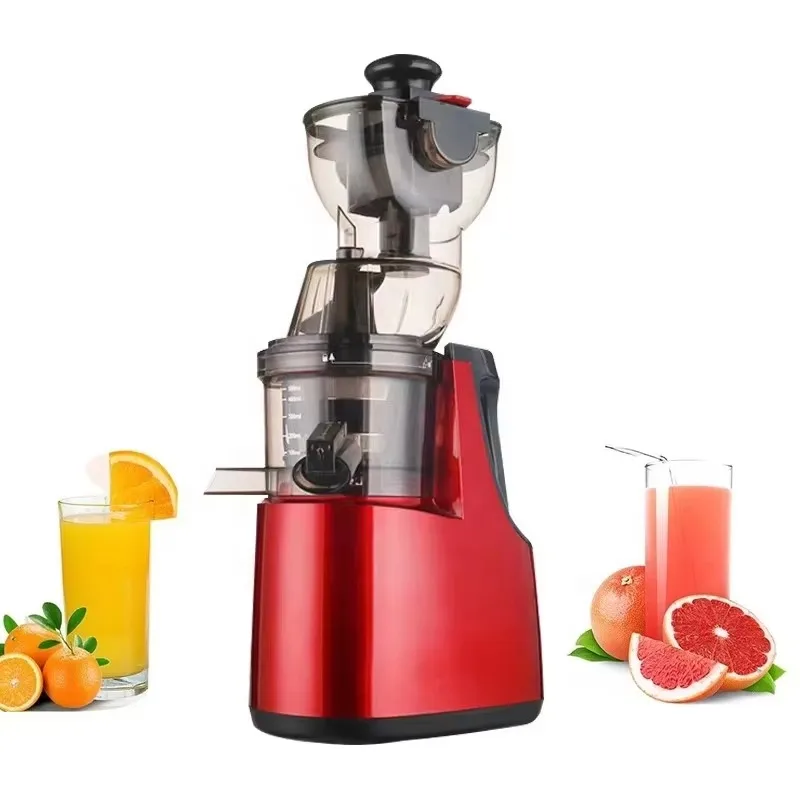 Fruit Blender Pineapple Extractor Cold Press Commercial Juicer
