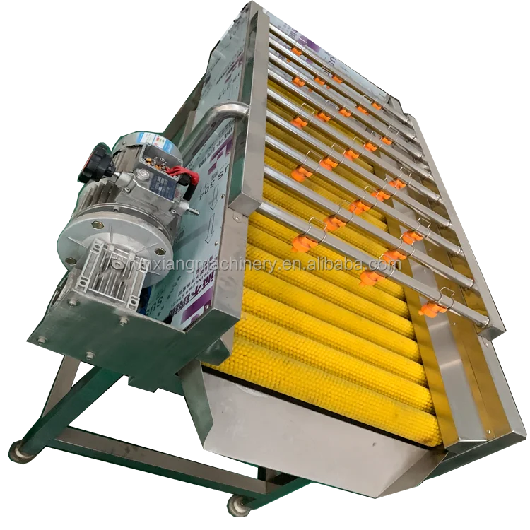 

High Quality Customized Fruit and Vegetable Washing Machine with Low Price