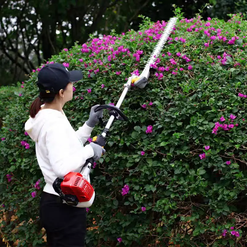 Professional Industrial Grade G26T Petrol Powered Double-pole 2-Stroke Hedge Trimmer Customizable OEM Features