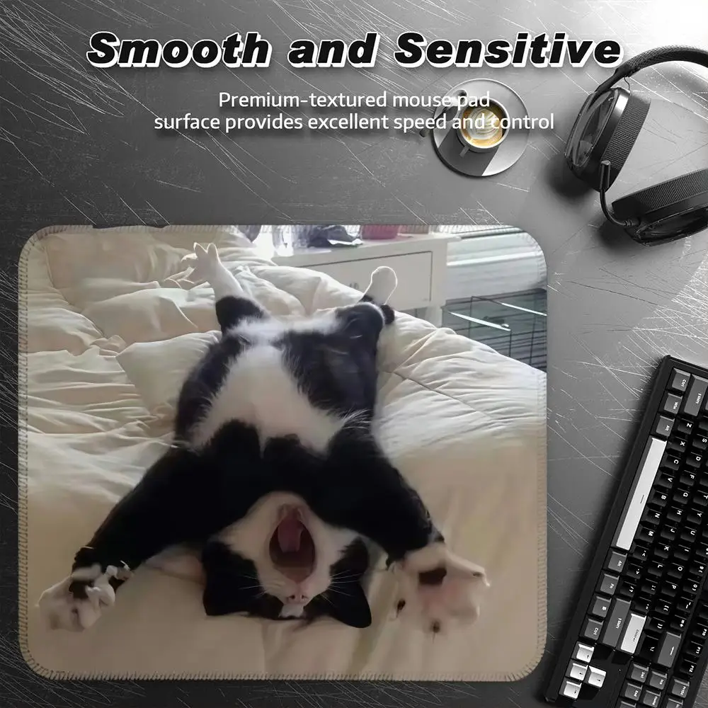 

Funny meme cats Mouse Pad Small Desk Pad Desktop Computer Keyboard Wireless Mouse Boy Gift for Play games Coasters