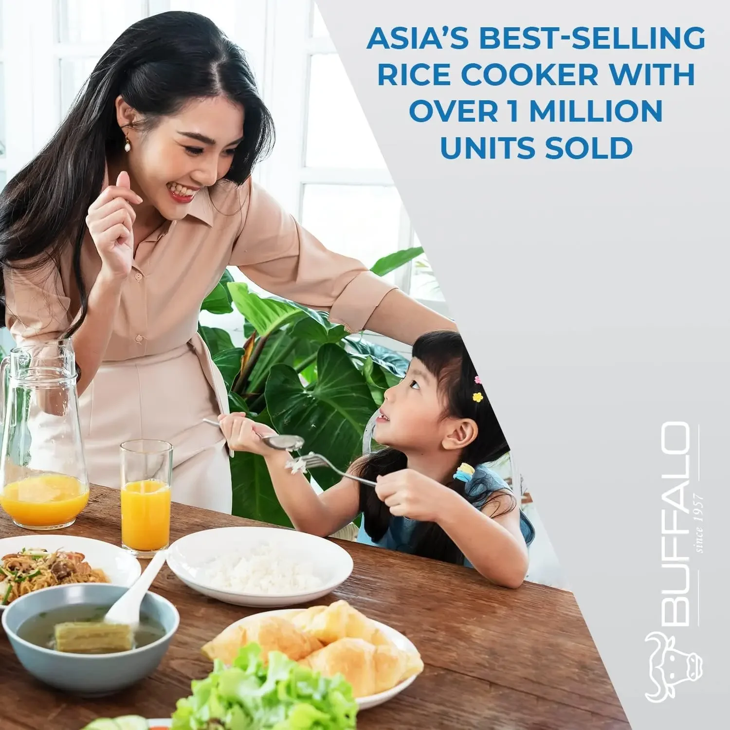 Smart Cooker 5-Cup by Buffalo