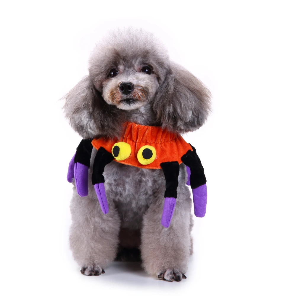 Pet Spider Neck Collar Cat Dog Halloween Scarf Decorative Dog Collar for Pet Birthday Christmas Gift Puppy Accessories