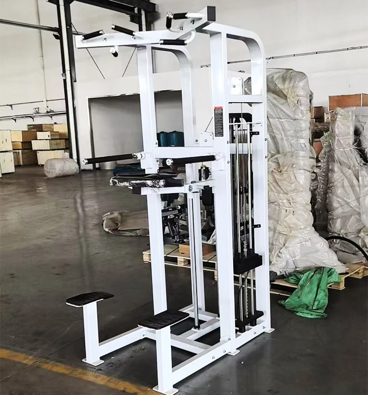 

Heavy Duty Indoor Commercial Professional Assisted Pull up Dip Chin Fitness Equipment Pin Loaded Weight Chin/dip Assist Machine
