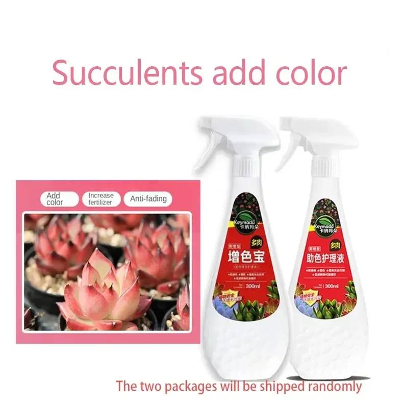 NEW Succulent plant Eugenin promotes budding, dwarf fat, prevents leggy organic granules, succulent, and succulent 300ml