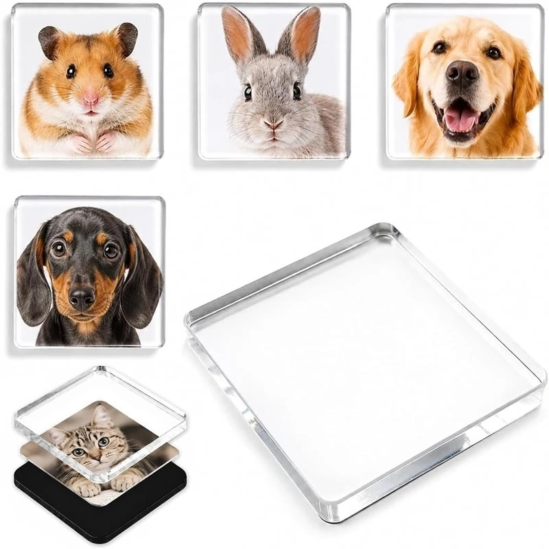 T21C Fridge Magnets, Acrylic Magnets For Gluing 30Pc 5 X 5 Cm Magnets, Photo Magnets With Adhesive Backs, Personalised Fridge