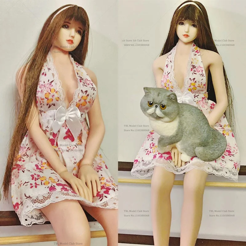 1/6 Scale Female Cl… - image