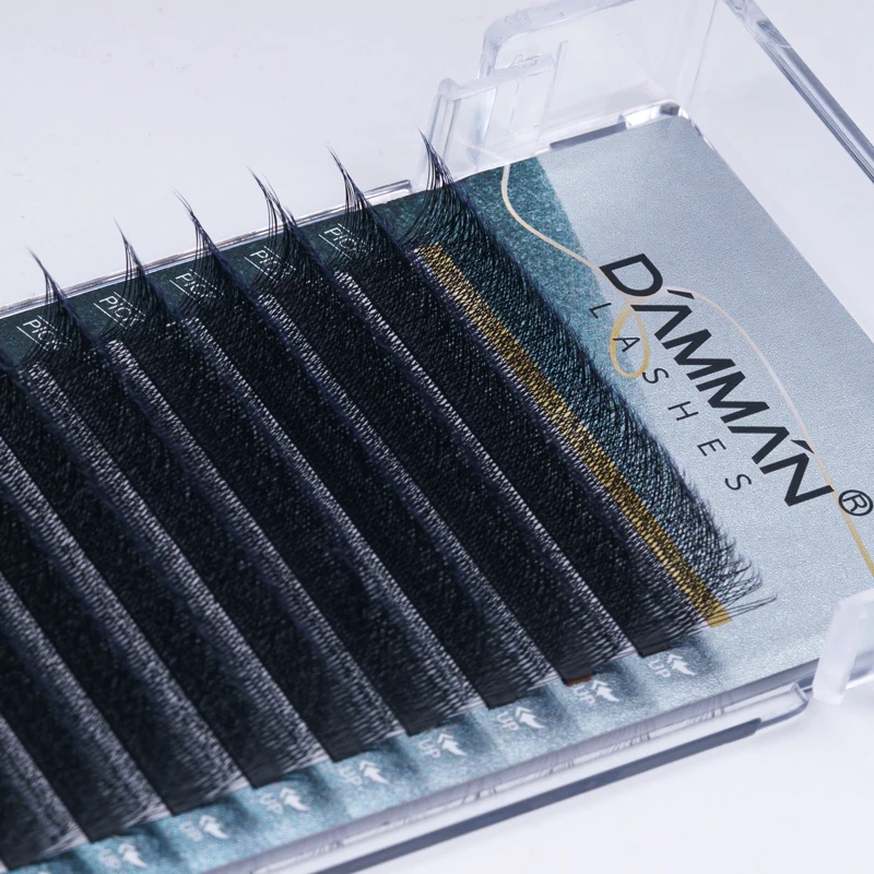 Damman 5 scatole 5D W Forma Estensione ciglia 12 file 5D W Ciglia a forma di 0,05 mm D Curl Estensione ciglia morbide naturali Ciglia finte