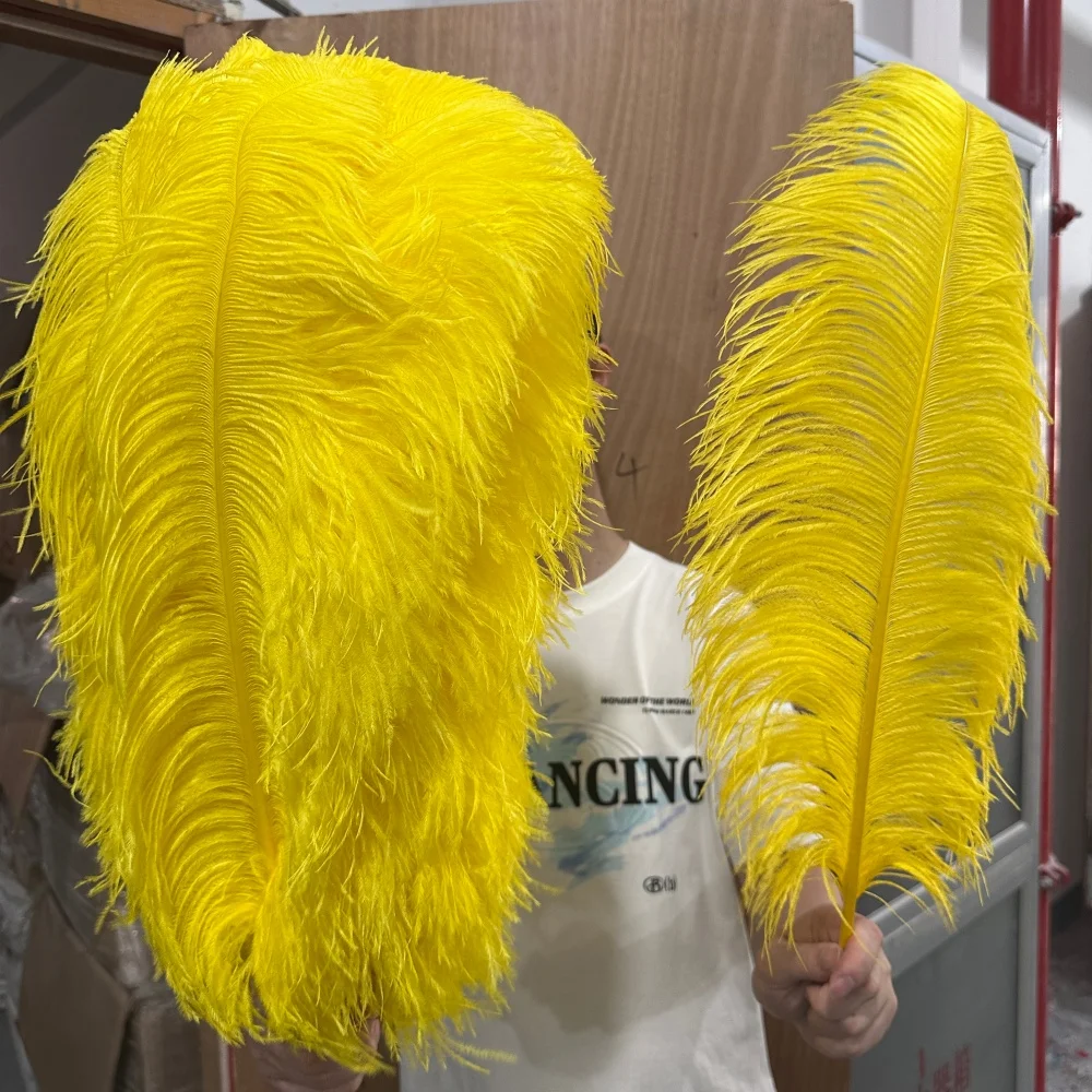 100pcs Natural Ostrich Feathers 6-16inch Fluffy Plumes for Wedding Table Centerpiece Carnival Party DIY Crafts Vase Home Costume