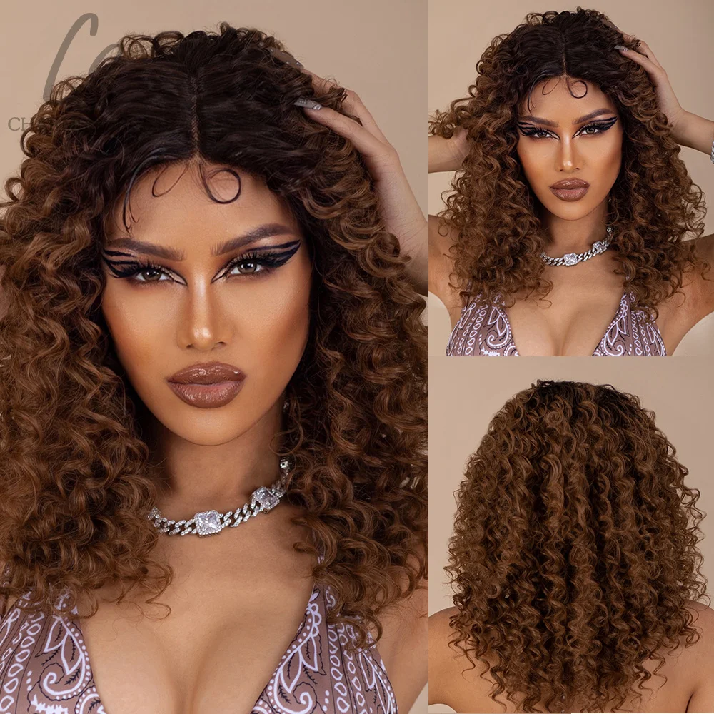 

CharmSource Ombre Brown Wigs Long Natural Curly Hair Synthetic Lace Front Wig For Women Party Daily High Density Heat Resistant