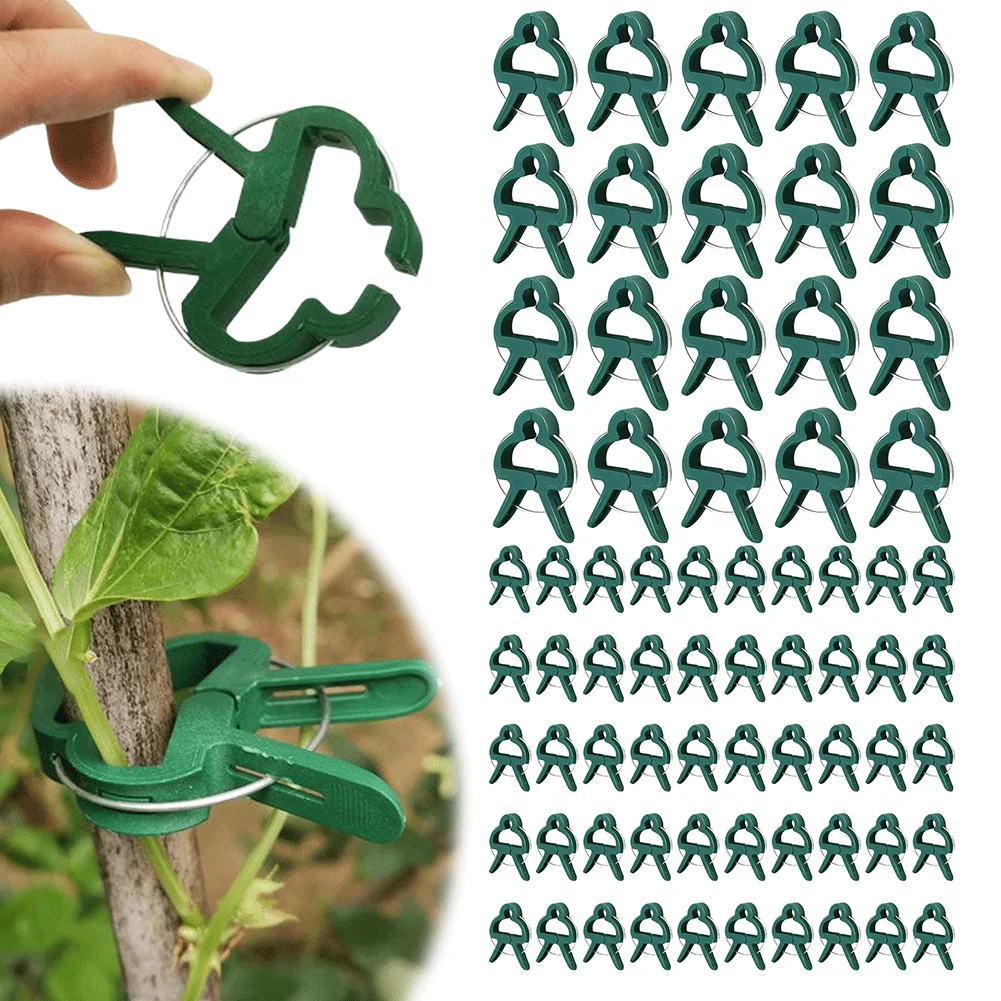 

50Pcs Plant Clips 2 Sizes Adjusting Reusable Garden Plant Supports Clips for Supporting Flower Vine Vegetables Tomatoes Climbing