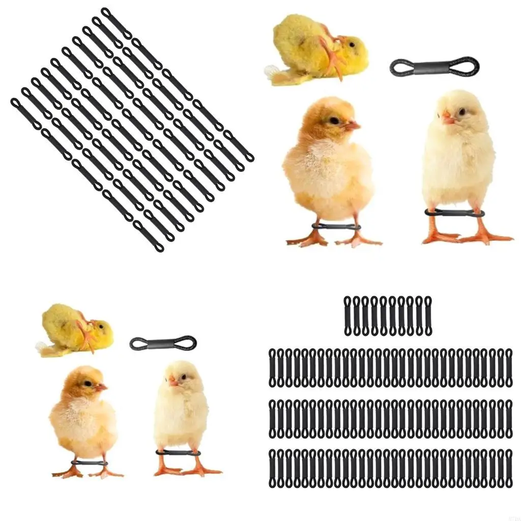 

M7DA 50/100pcs куриные ленты регулируем